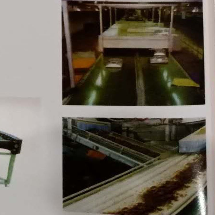 口罩(zhào)機輸(shū)送(sòng)帶,草莓视频在线智能輸(shū)送配件