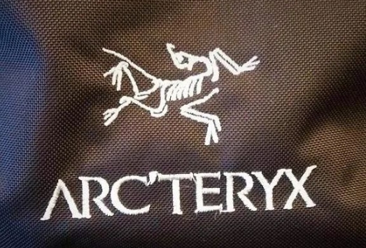 高飛的始祖（zǔ）鳥，又漲價了！