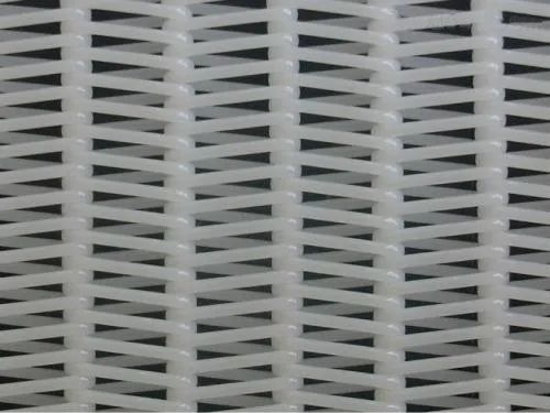 1751503482210246.jpg T2.jpg