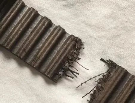 1752021709311378.jpg t1.jpg